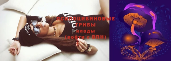 круглые Алзамай
