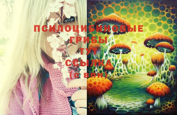 кристаллы Абинск